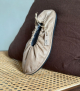 bailarinas barefoot 5621 marmo beige